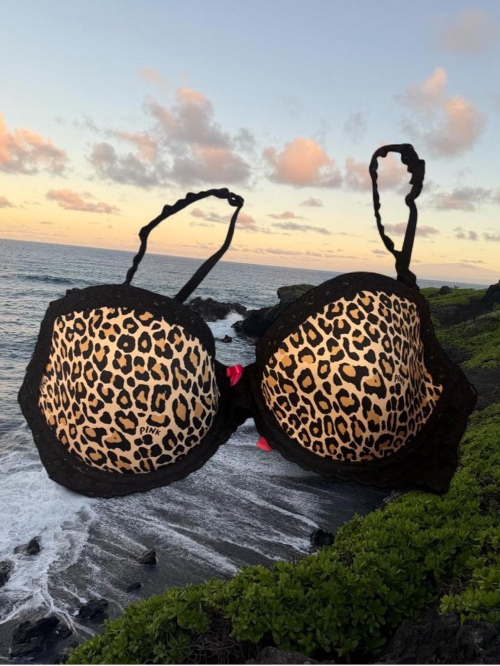 PINK Victoria's Secret Leopard Print Underwire Push-Up Bra - Black Trim 36C